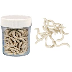 Maggot Artificial Soft Bait Scented