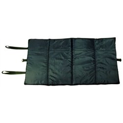 Carp Mat no.2 100x50x2.5cm