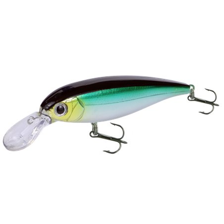 Chubby Minnow 60F Mirror Tench