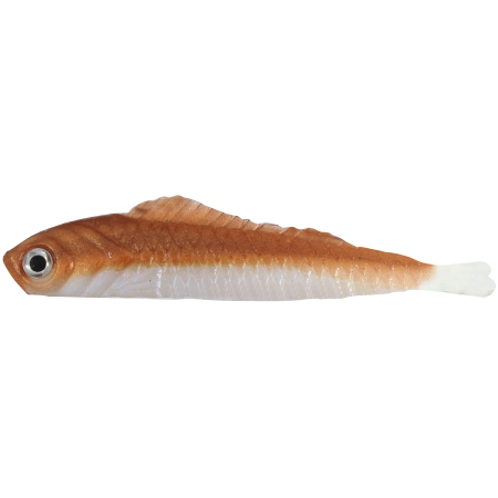 Drop-Shot Lucky Shad 6cm Copper