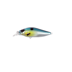 Shallow Shad 80mm Slow Sinking color 08