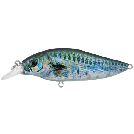 Wobbler Shallow Shad 40F Holo Gold