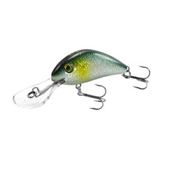 Shaky Shad 50F Holo Ayu