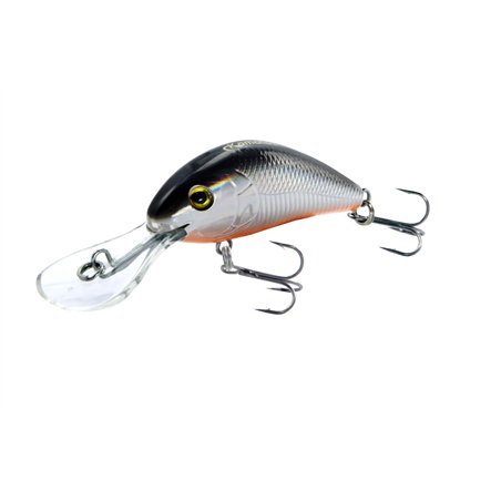 Shaky Shad 50F Red Belly