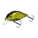 Flat Crank 70F Holo Rudd