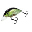 Flat Crank 90F Holo Tench
