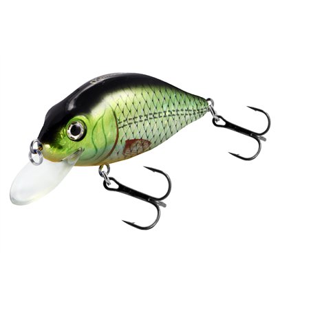 Flat Crank 90F Holo Tench