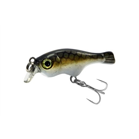 Seek Fish 35F Golden Stripe