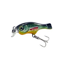 Seek Fish 35F Holo Rudd