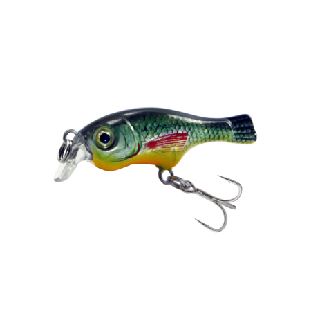 Seek Fish 35F Holo Rudd