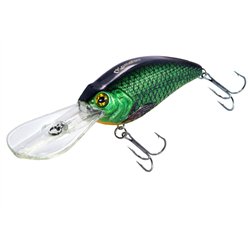 Fat Crank DR 80F Holo Rudd