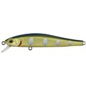 Sneaky Minnow 70N Biwa Trout