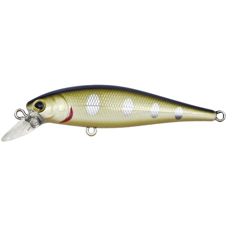 Driftin' Shad 65N Biwa Trout