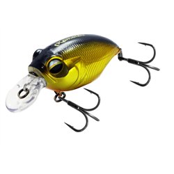 Crazy Crank 40F Gold & Red