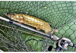 What is a casting rod?