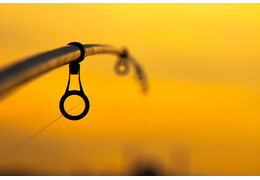 Wie montiert man eine Angelrute bzw. wie bereitet man eine Angelrute zum Angeln vor?