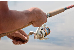 Co lepsze żyłka czy plecionka. Jaką linkę do wędki wybrać?