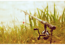 Łowienie na grunt, czyli czym jest wędkarstwo gruntowe?