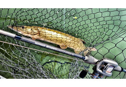 Co to jest wędka castingowa?